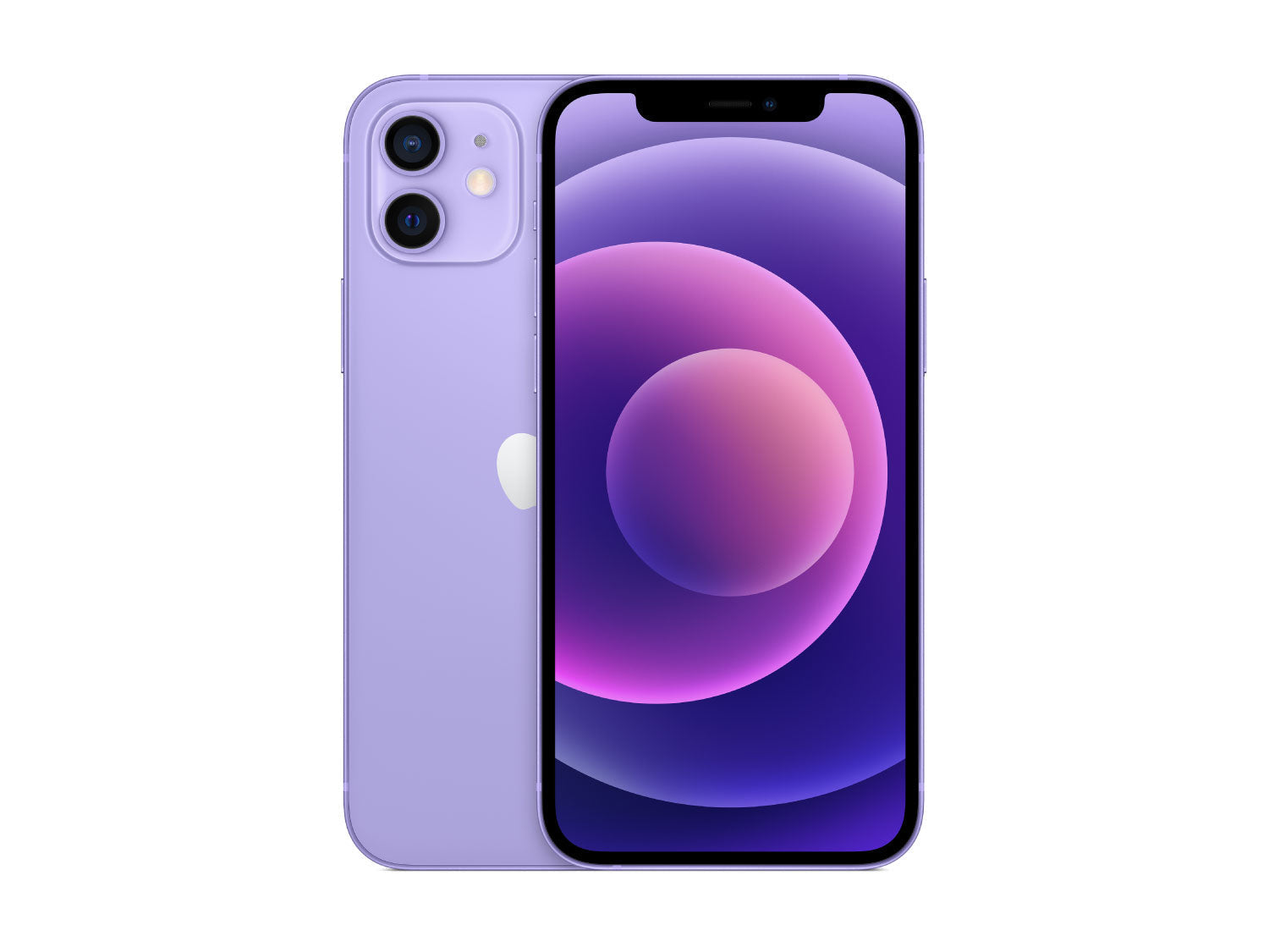 Meta-iPhone 12